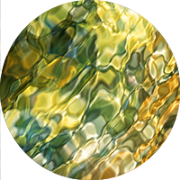 mentālā skaidrība